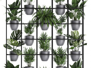 plants collection vertical gardening 25 3D 모델