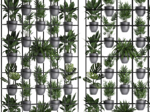 plants collection vertical gardening 25 3D 모델