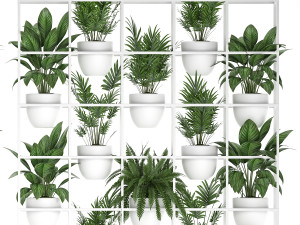 plants collection vertical gardening 26 3D Модель