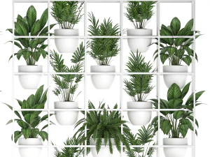 plants collection vertical gardening 26 3D Model