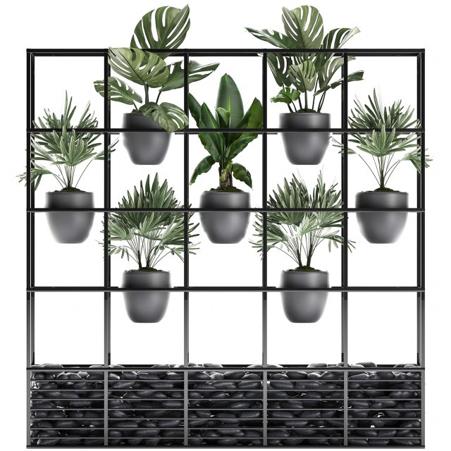 collection exotic plants 363 Modelo 3D .c4d .max .obj .3ds .fbx .stl .blend