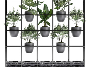 collection exotic plants 363 3D Model