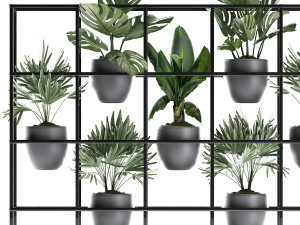 collection exotic plants 363 Modelo 3D
