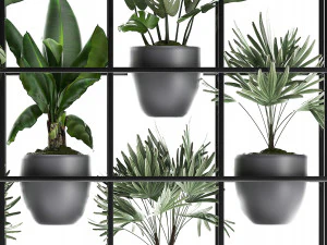 collection exotic plants 363 3D Model