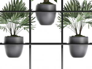 collection exotic plants 363 3D Model