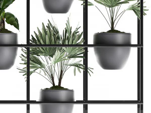 collection exotic plants 363 3D Model