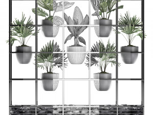 collection exotic plants 363 Modelo 3D