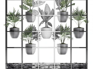 collection exotic plants 363 3D Model