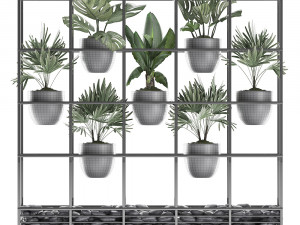 collection exotic plants 363 Modelo 3D