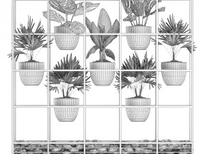 collection exotic plants 363 Modelo 3D