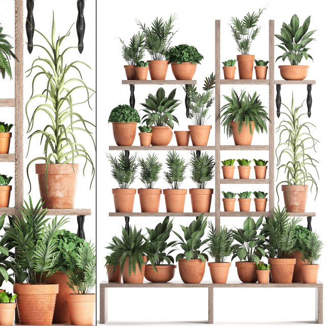 plants collection vertical gardening 27 3D Model .c4d .max .obj .3ds .fbx .stl .blend 