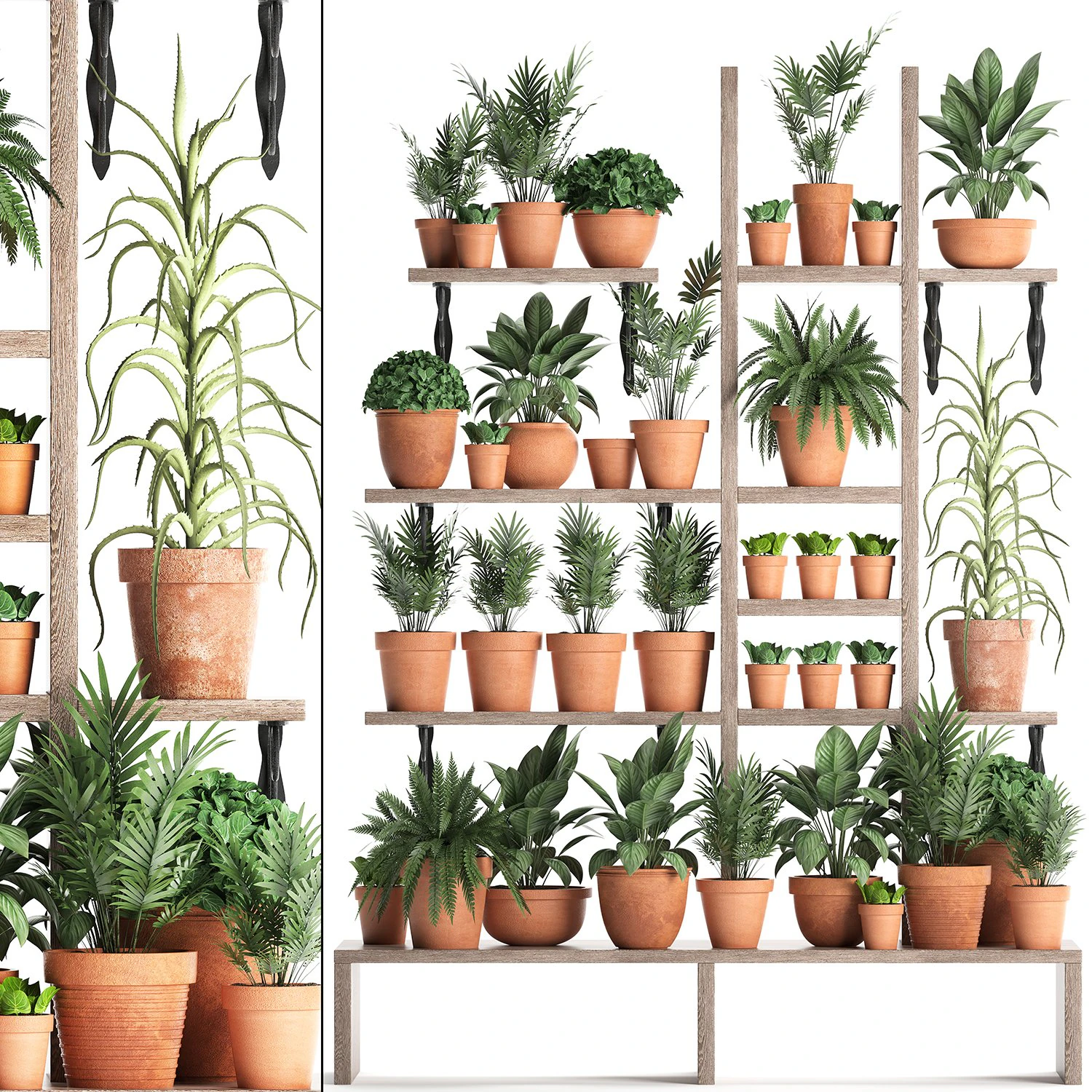 plants collection vertical gardening 27 3D Model .c4d .max .obj .3ds .fbx .stl .blend 
