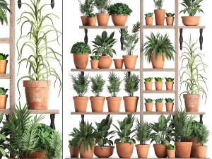 plants collection vertical gardening 27 3D-Modell