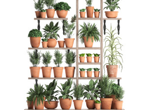 plants collection vertical gardening 27 3D Model