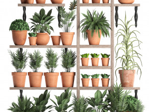 plants collection vertical gardening 27 3D Model