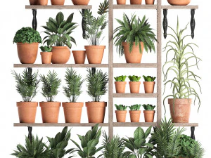 plants collection vertical gardening 27 3D Model