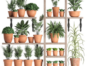plants collection vertical gardening 27 3D Model