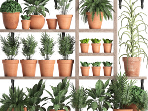 plants collection vertical gardening 27 3D Model