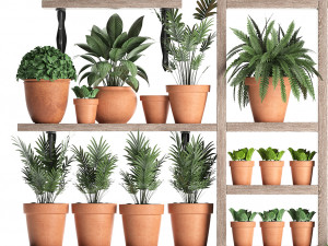 plants collection vertical gardening 27 3D Model