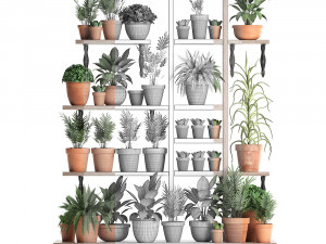plants collection vertical gardening 27 3D Model