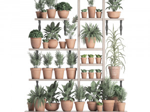 plants collection vertical gardening 27 3D Model