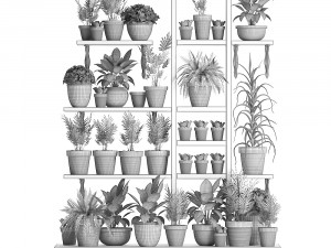 plants collection vertical gardening 27 3D Model