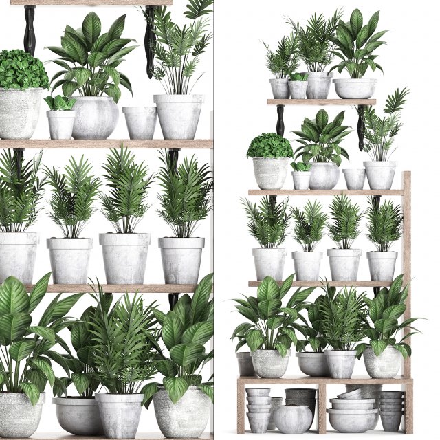plants collection vertical gardening 28 3Dモデル .c4d .max .obj .3ds .fbx .stl .blend 