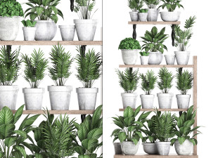 plants collection vertical gardening 28 3D Model