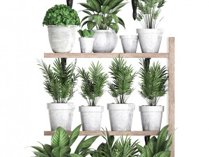 plants collection vertical gardening 28 3Dモデル