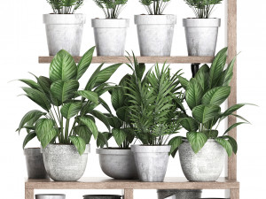 plants collection vertical gardening 28 3Dモデル