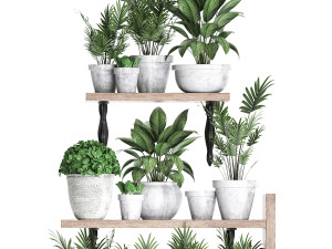 plants collection vertical gardening 28 3Dモデル