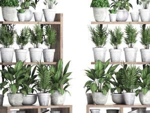 plants collection vertical gardening 28 3Dモデル