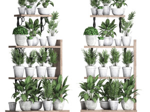 plants collection vertical gardening 28 3Dモデル