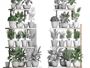 plants collection vertical gardening 28 3Dモデル