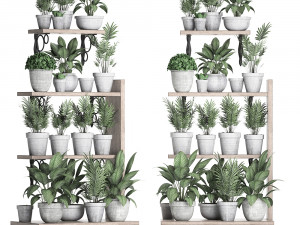 plants collection vertical gardening 28 3Dモデル
