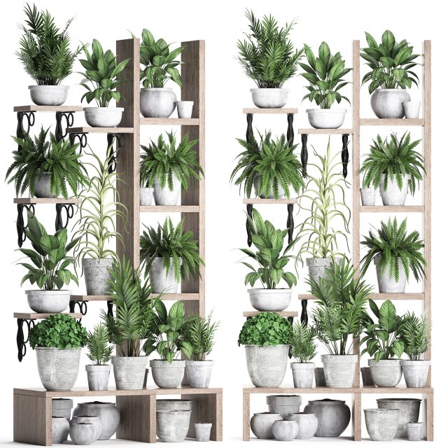 plants collection vertical gardening 28 2 3D Model .c4d .max .obj .3ds .fbx .stl .blend 