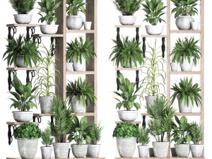 plants collection vertical gardening 28 2 3D Model