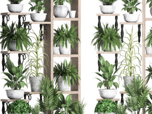 plants collection vertical gardening 28 2 3D Model