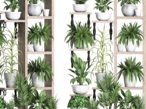 plants collection vertical gardening 28 2 3D Model