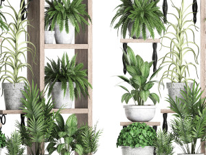 plants collection vertical gardening 28 2 3D Model
