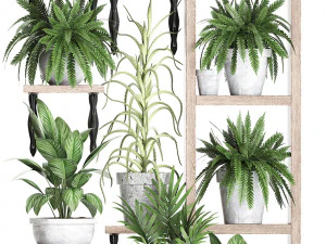 plantencollectie verticaal tuinieren 28 2 3D Model