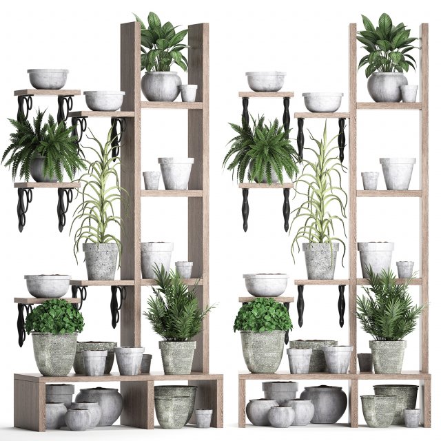 plants collection vertical gardening 28 3 3D Model .c4d .max .obj .3ds .fbx .stl .blend 