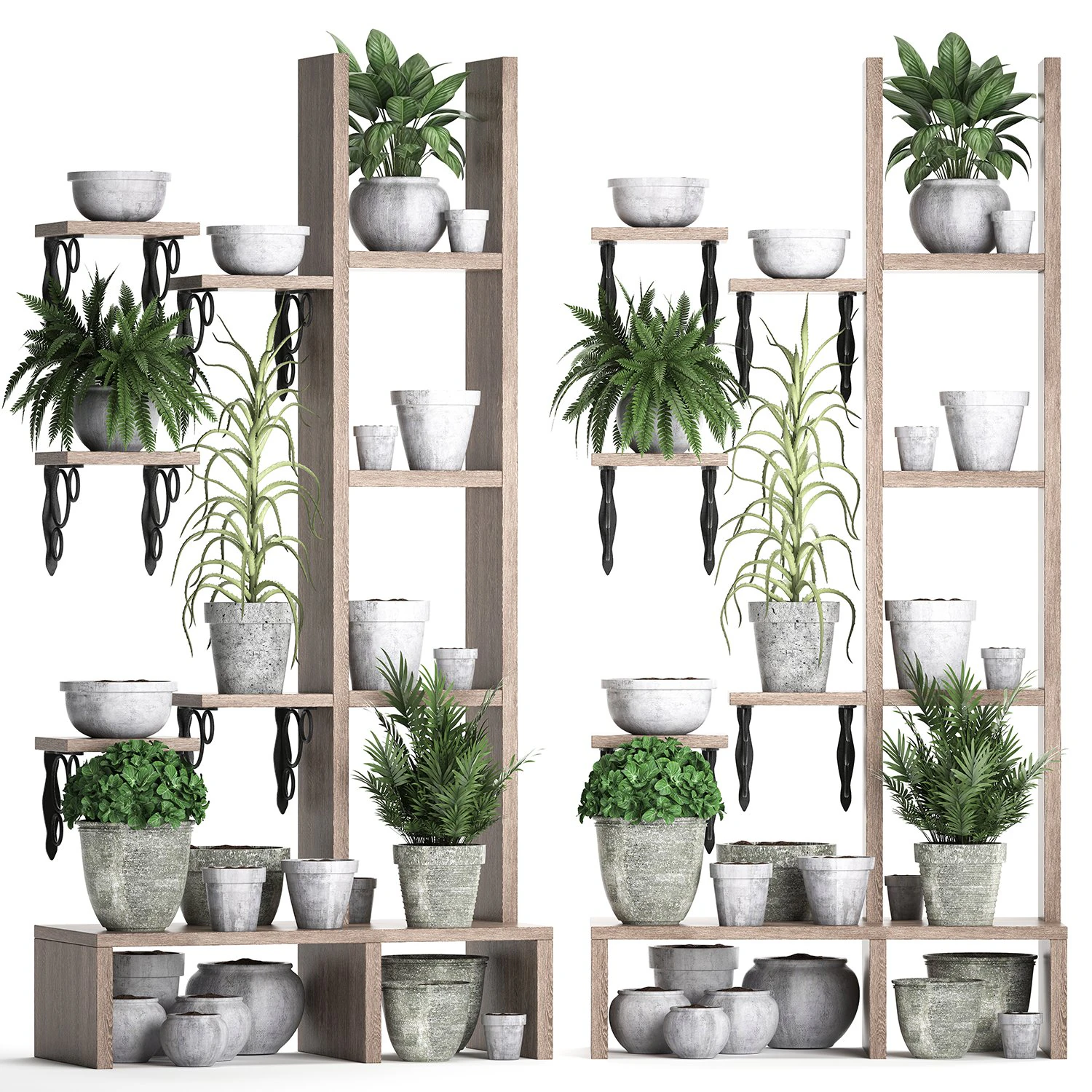plants collection vertical gardening 28 3 3D Model .c4d .max .obj .3ds .fbx .stl .blend 