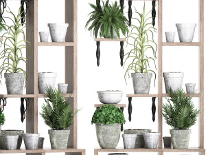 plants collection vertical gardening 28 3 3D Model