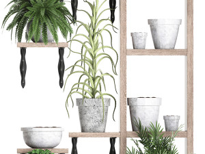 plants collection vertical gardening 28 3 3D Model