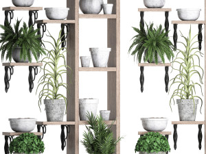 plants collection vertical gardening 28 3 3D Model
