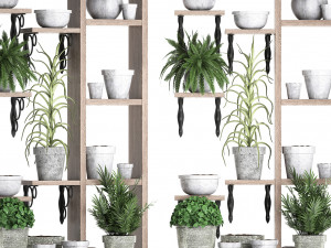 plants collection vertical gardening 28 3 3D Model