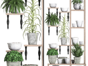 plants collection vertical gardening 28 3 3D Model
