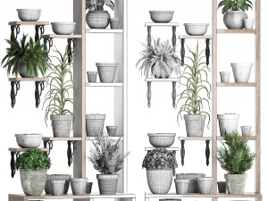 plants collection vertical gardening 28 3 3D Model