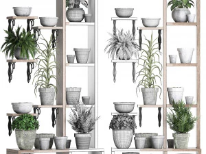 plants collection vertical gardening 28 3 3D Model